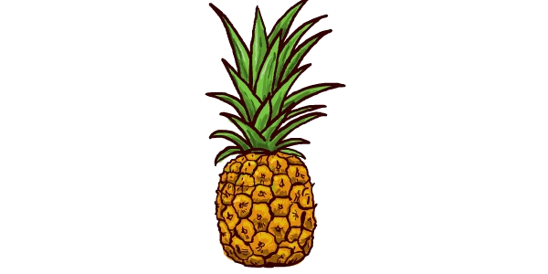 ananas.png